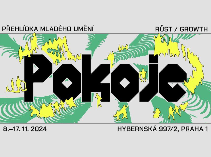 Pokoje 2024